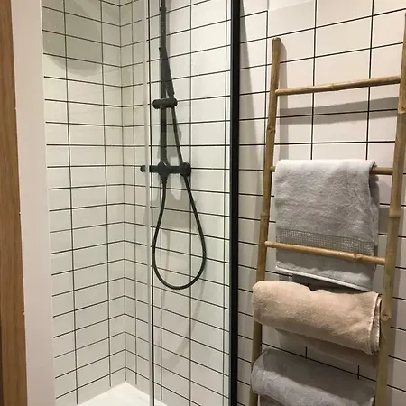 アパート Plein Centre アジャクシオ