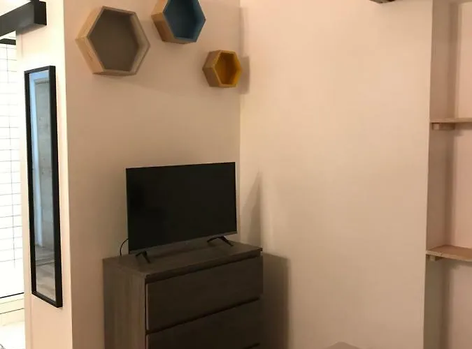 Apartament Plein Centre