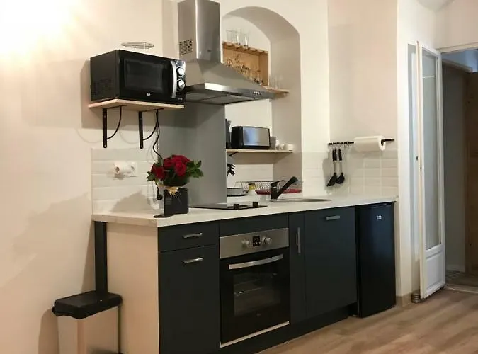 Apartament Plein Centre *