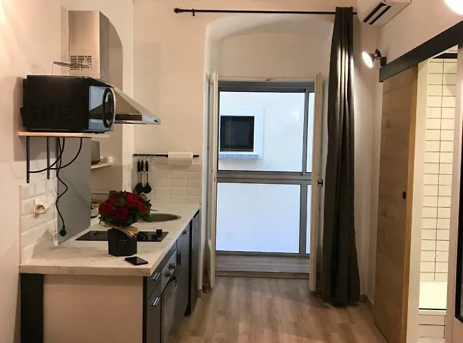 Plein Centre Apartament